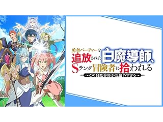 勇者パーティーを追放された白魔導師、Sランク冒険者に拾われる ～この白魔導師が規格外すぎる～