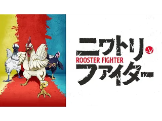 ニワトリ・ファイター